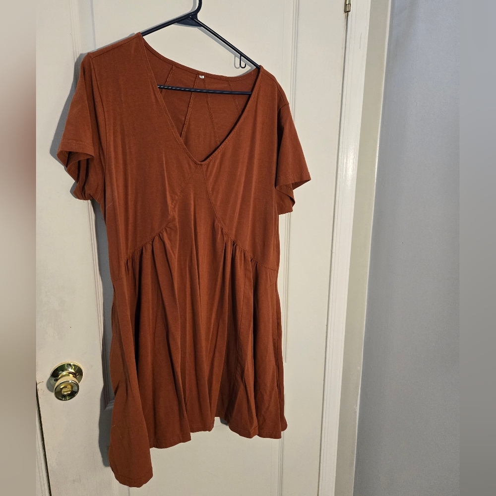 Source Unknown Rust Mini Dress